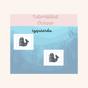 Lateralidad océano