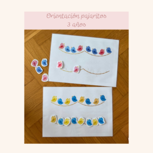 Orientación pájaros Primavera