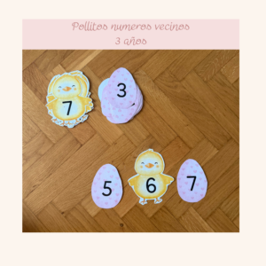Anterior y posterior pollitos