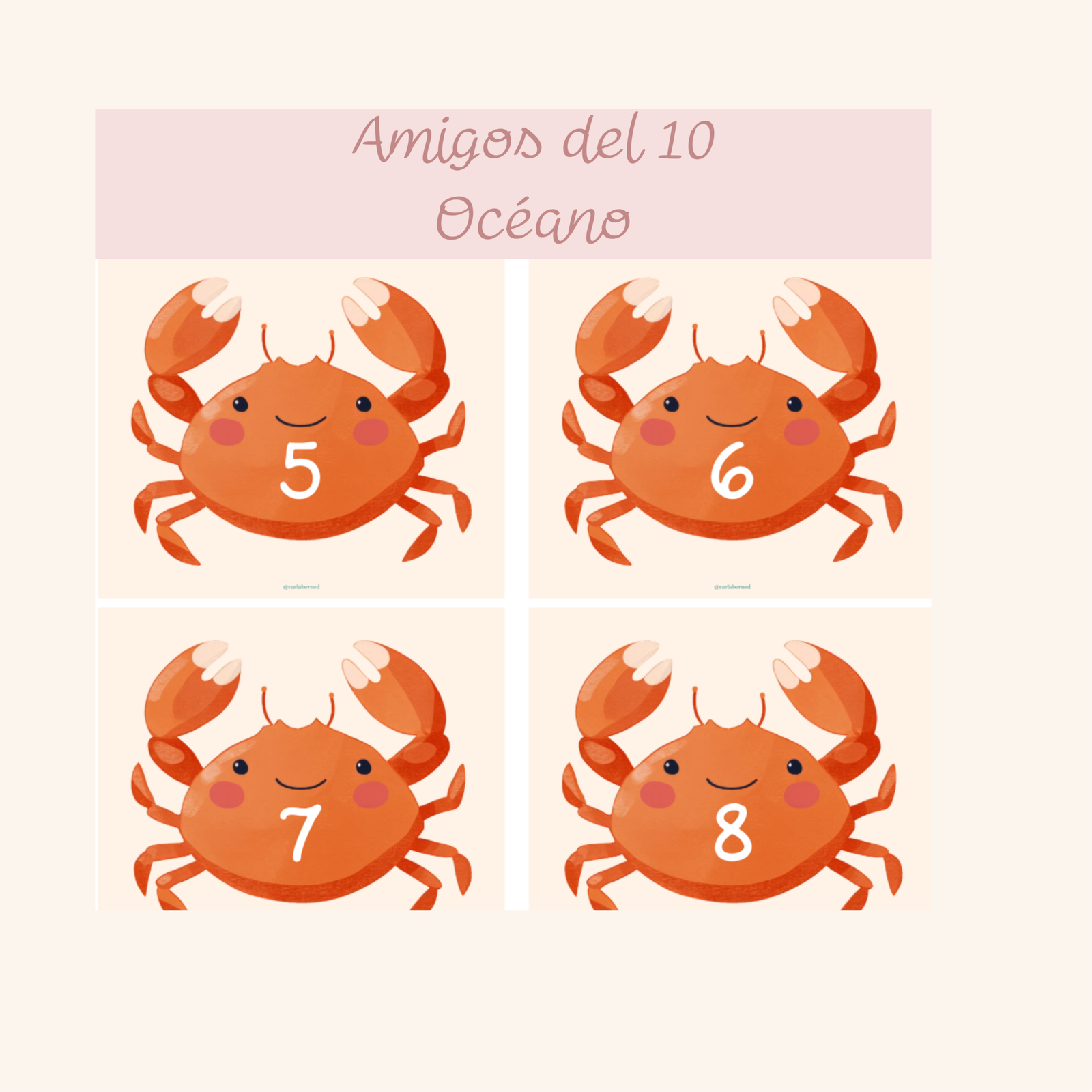 Amigos del 10 - Océano - Imagen 2