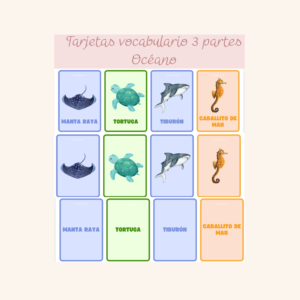 Tarjetas Montessori tres partes vocabulario Océano