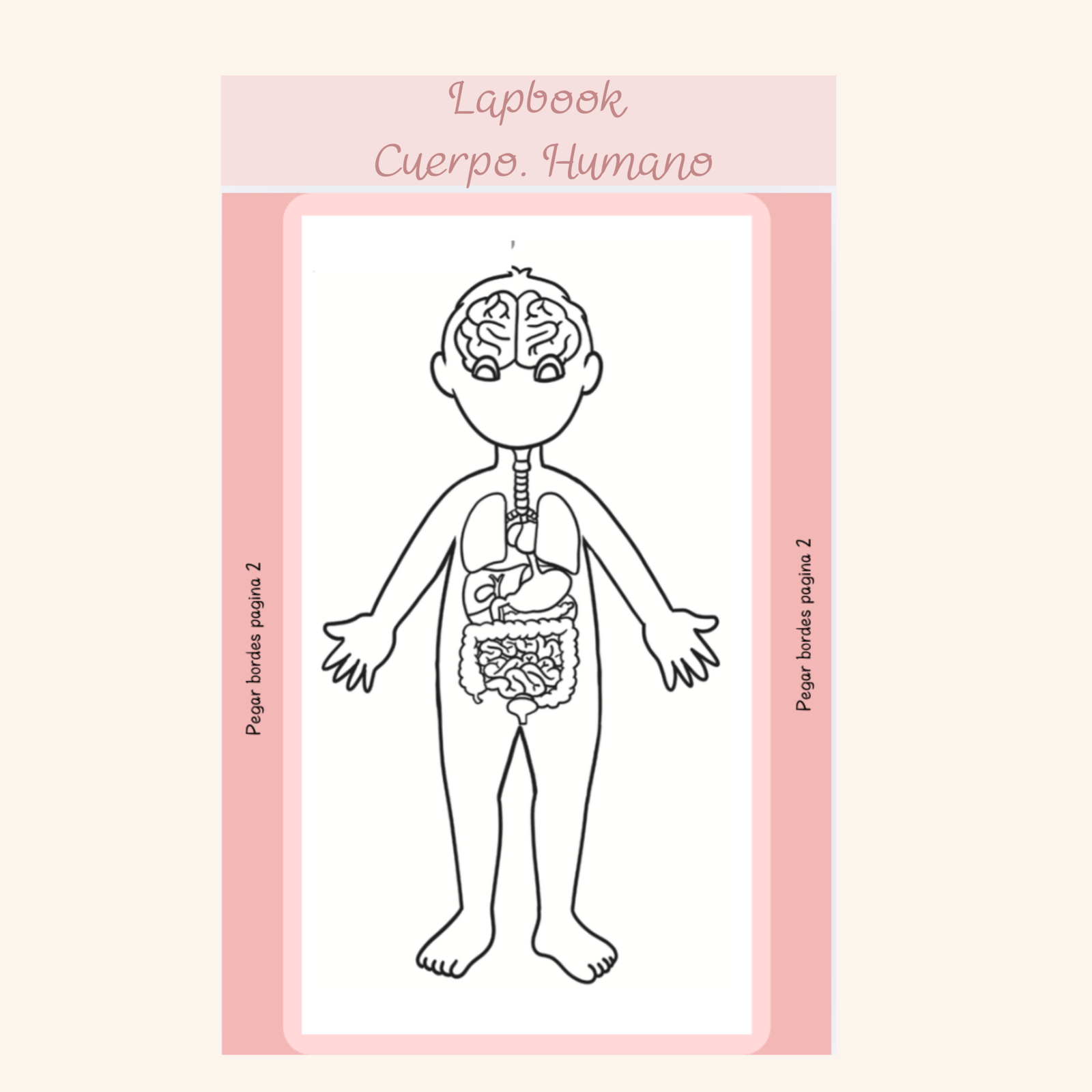 Lapbook sencillo Partes del cuerpo - Imagen 2