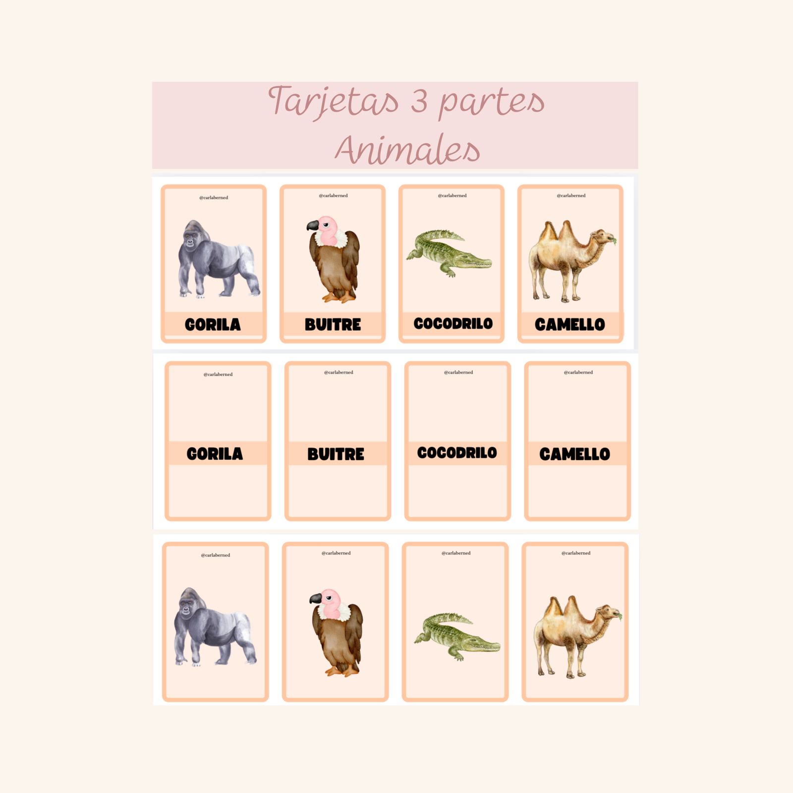 Tarjetas 3 partes Animales