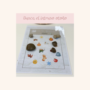 Busca el intruso - Otoño